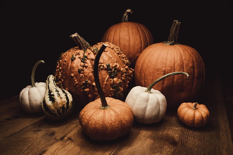 A variety of pumpkins and gourds on a wooden surface, perfect for autumn decor.